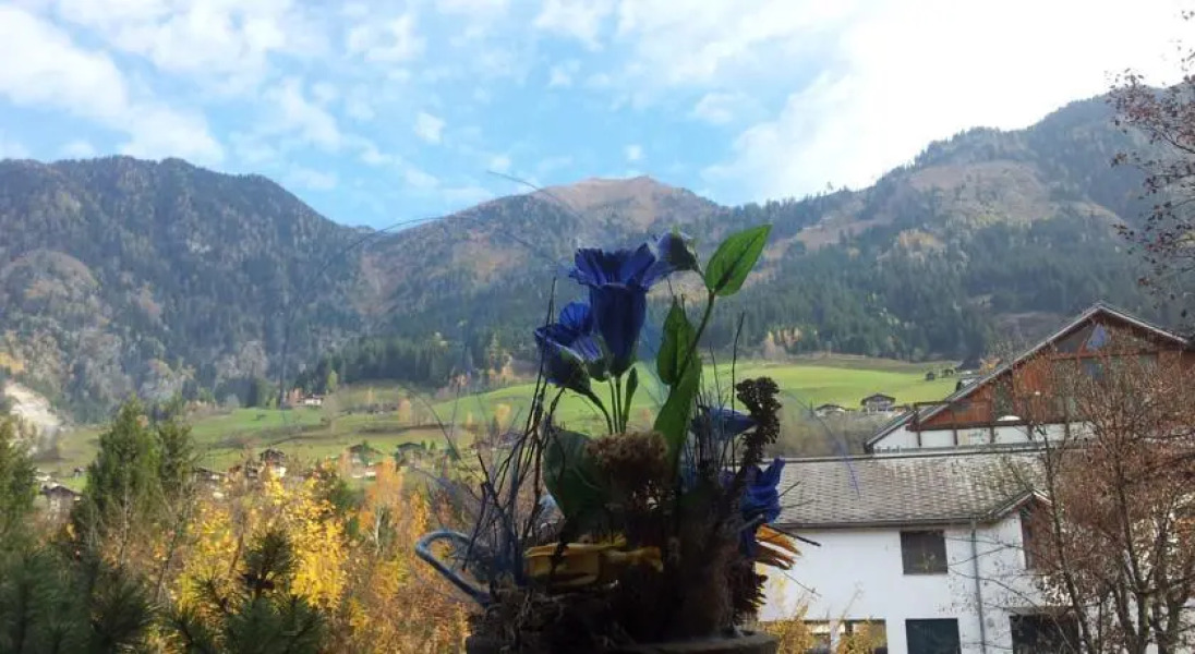 Sun Valley Apartment