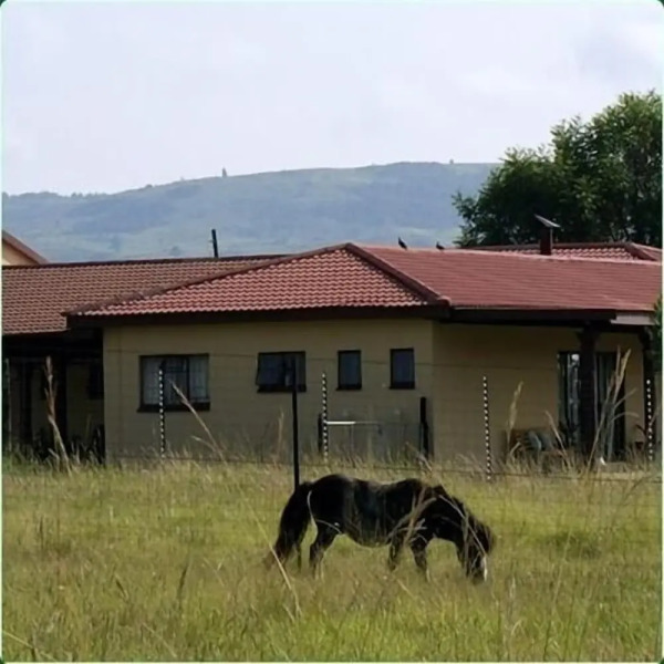 Mountain View Guest House