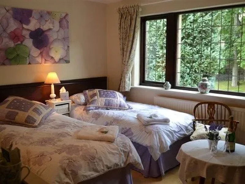 Woods End Bed  Breakfast