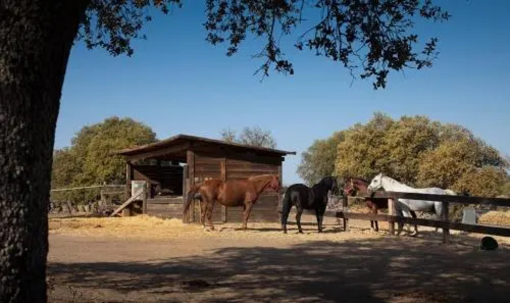 Lantero Horse & Lodge