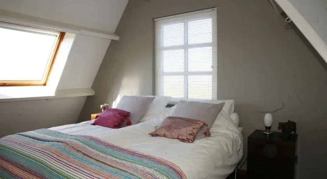 Skaap Amsterdam Waterland