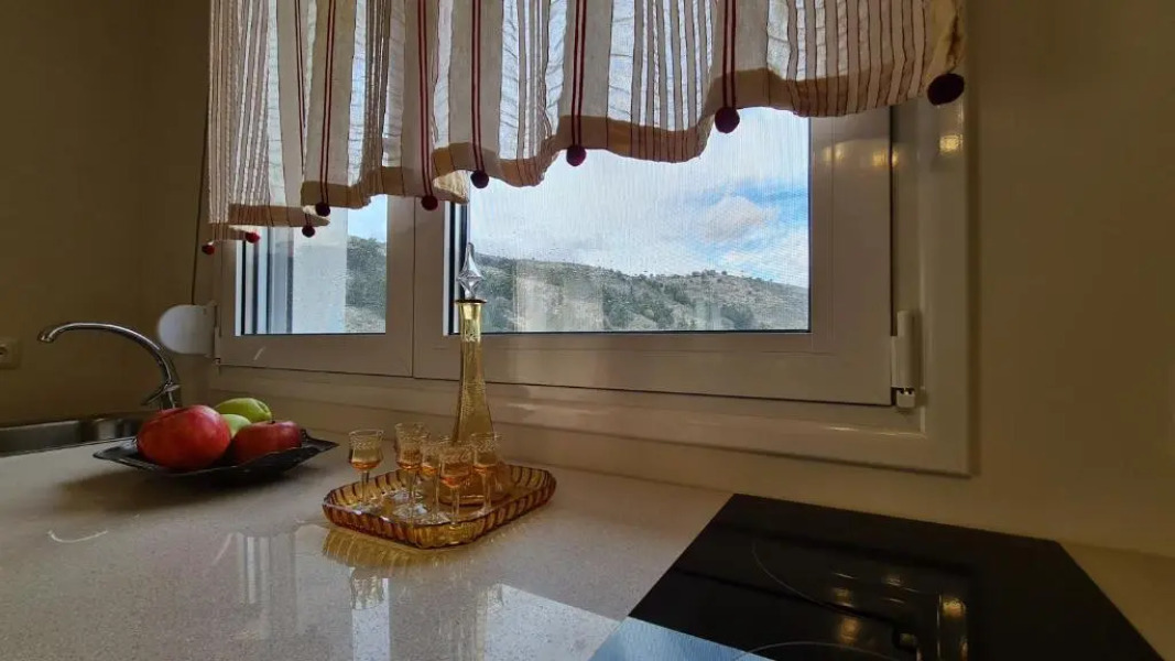 ''Prasini Folia'' Apartments - Studio ''SOHORA''