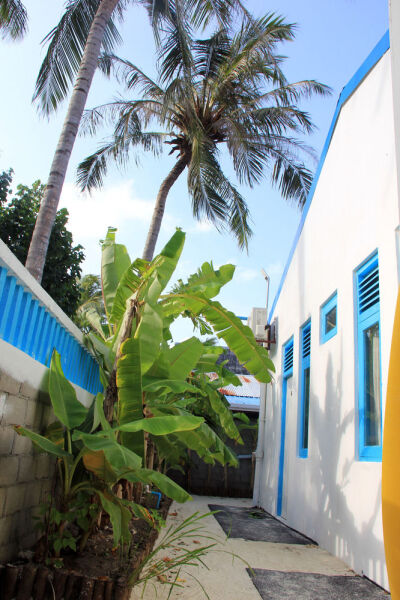 Rip Tide Vacation Inn