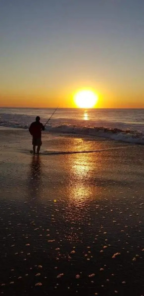 Flamboyant Apartments