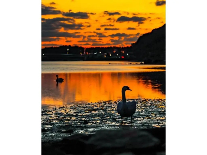 Yukinoura Guest House Moritaya - Vacation STAY 88420v