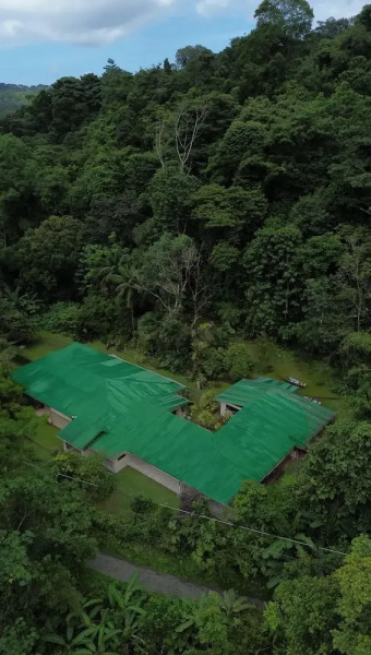 Ventanas en Corcovado