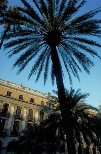 ibis Barcelona Montmelo-Granollers