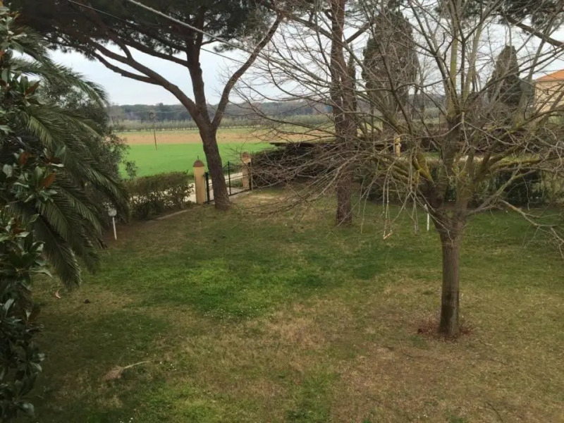 Podere Il Castellaccio Pianetti