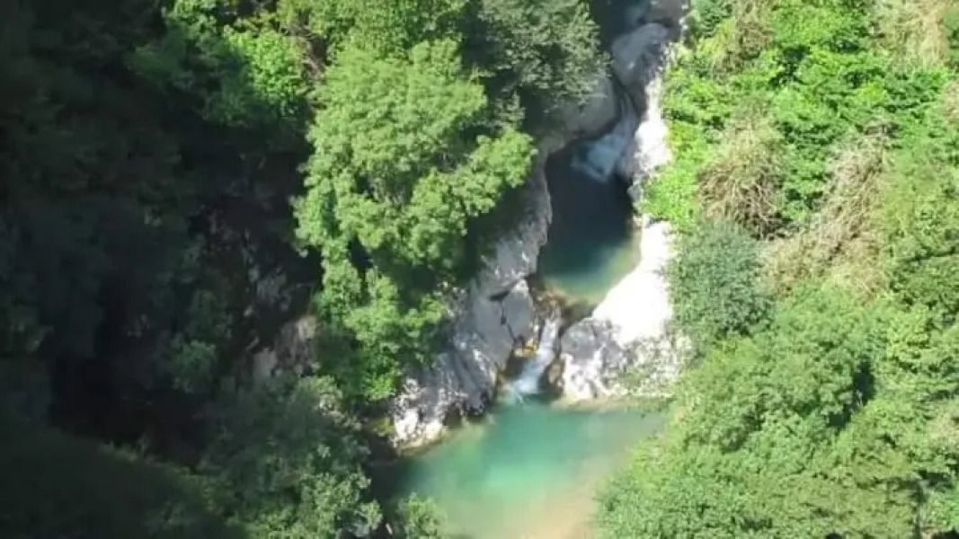 House At The Forest ახლი ყის ირას