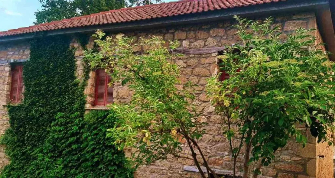 Βίλα Αρμονία Ορεινή Κορινθία