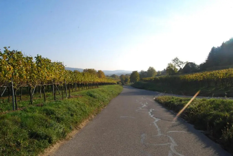 Hildastraße 1 appart.2