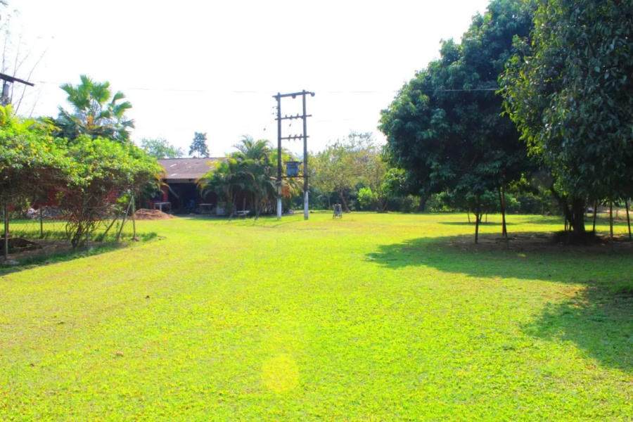 Chai Seeds Resort