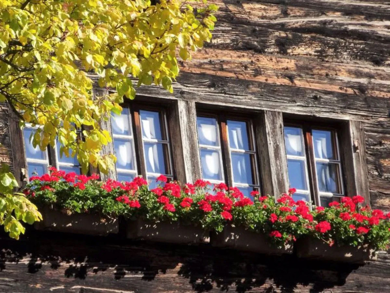 Apartment LuxLax Lax