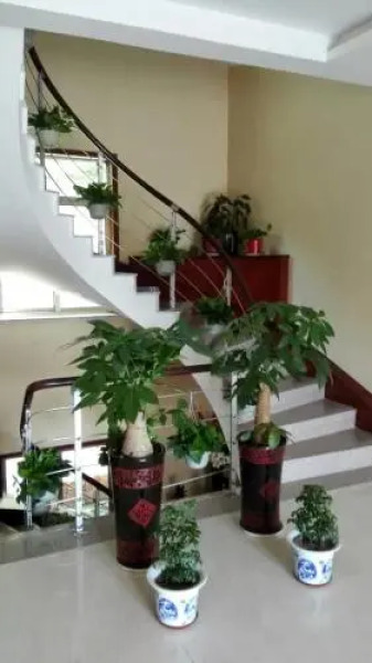 Zhujiajian Wushi Yuzhuang