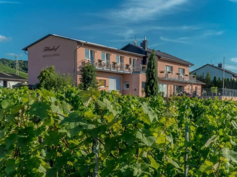 Weingut-Pension Tiliahof