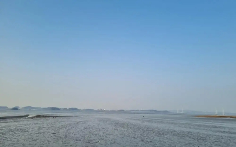 Daebudo Idea Pension