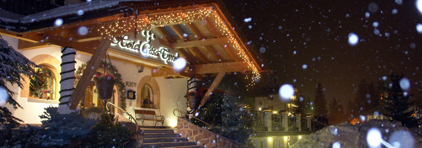 Hotel Cesa Tyrol