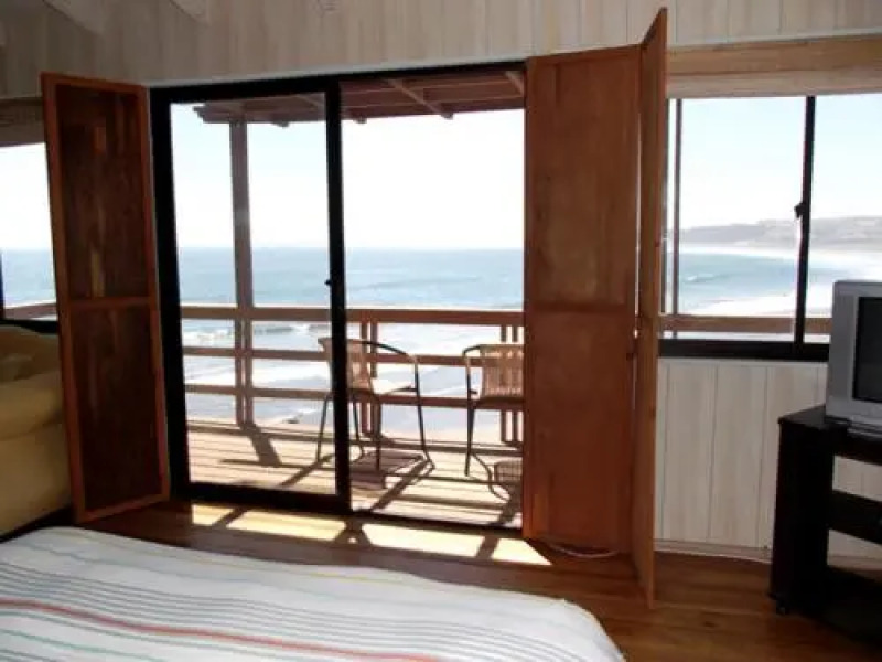 Pingüino En La Roca Cabañas