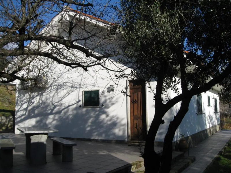 Quinta Souto da Ordem - House