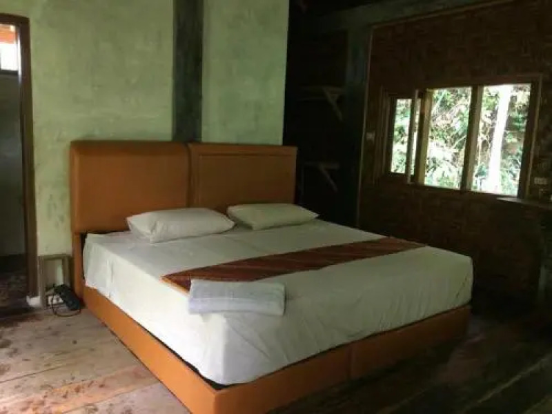 Sumatra Rainforest Eco Retreat