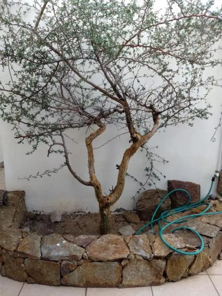 Apartamento El Sargento