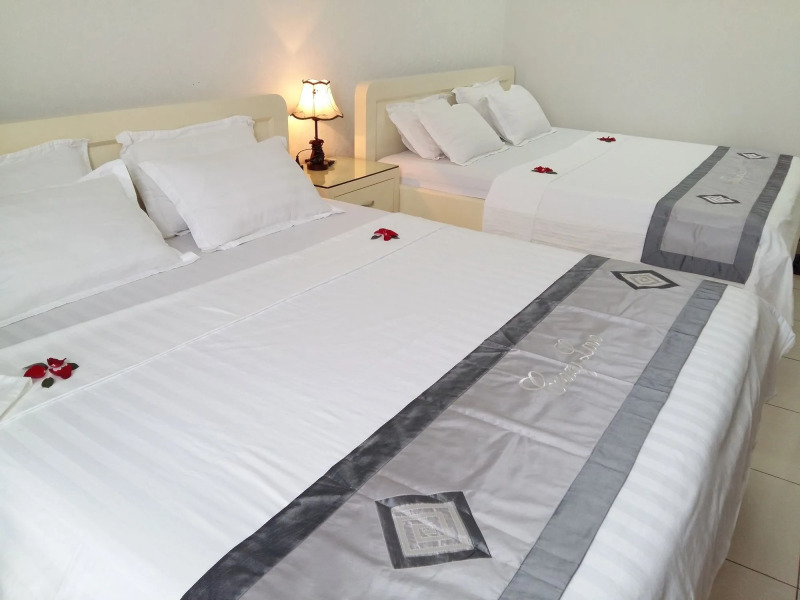 Sao Mai Cosy Nest Noi Bai Airport