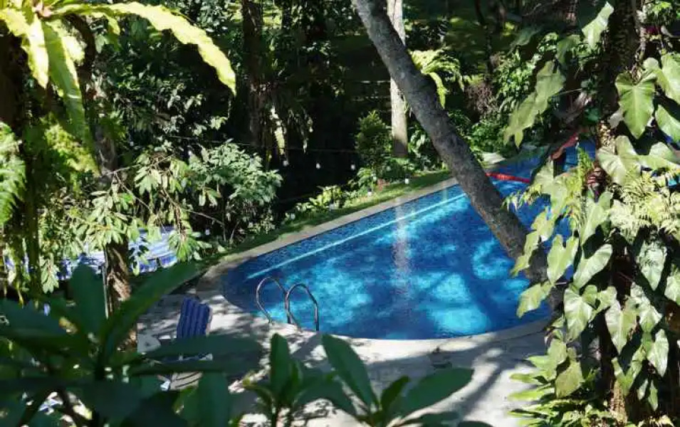 Villa Lavender 1BR Rumah Gadog