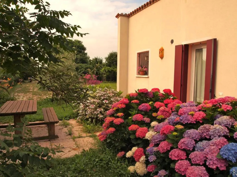 Agriturismo Il Magicorto