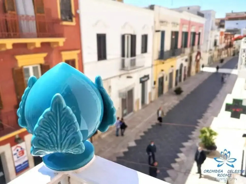 B&B Orchidea Celeste