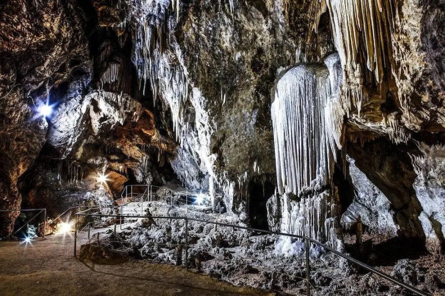 Sa Domu Sarda - Apartment With Garden