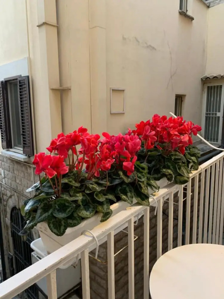 La Banchina Holiday Rooms