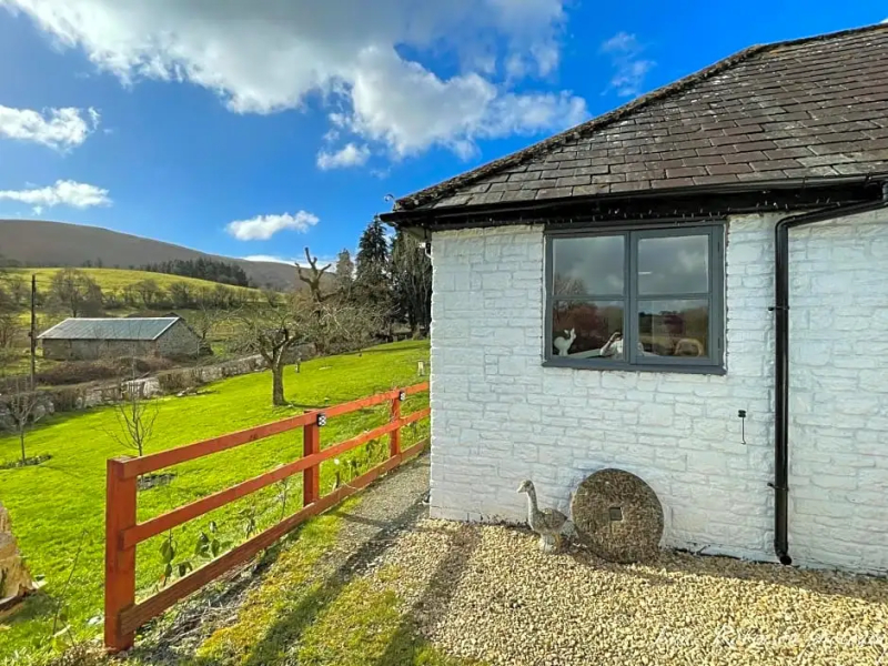 Matt's farm