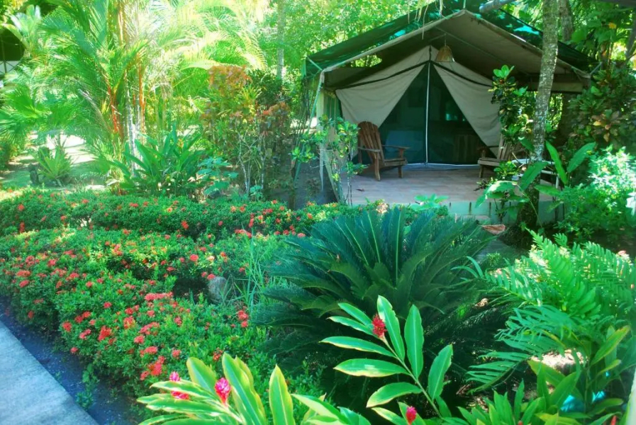 Rafiki Beach Camp