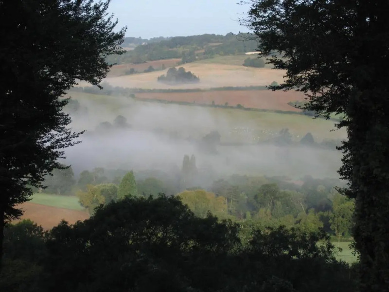 Spinneycross
