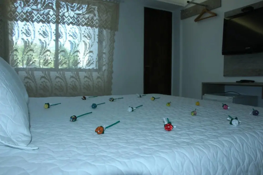 Pousada Palmeira Imperial