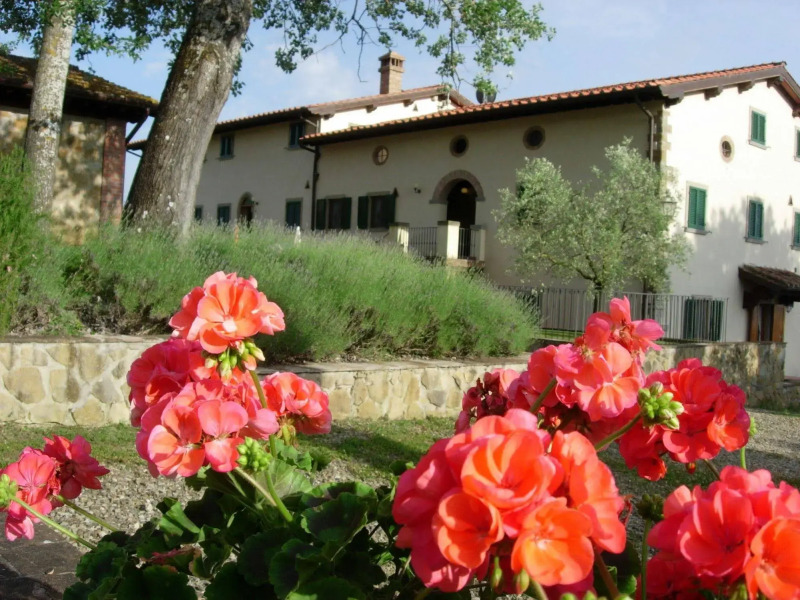 Fattoria di Belvedere
