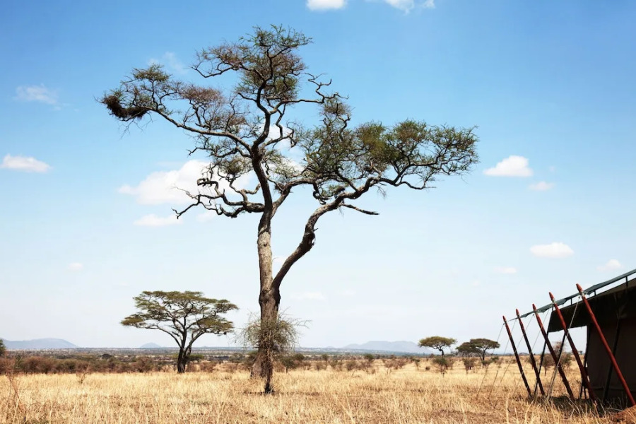 Pumzika Classic Safari Camp