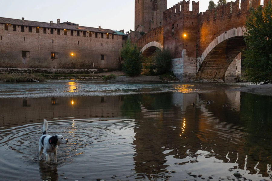 Roccaforte Scaligera