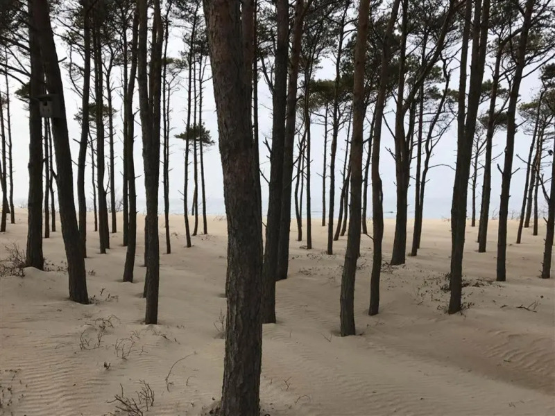 Apartament Nad Morzem