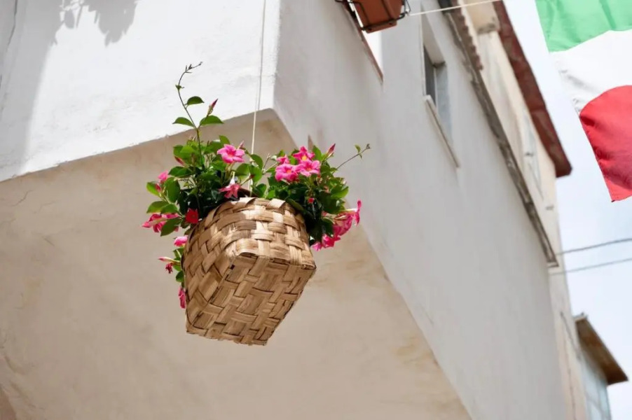 Il Riccio Apartment 28