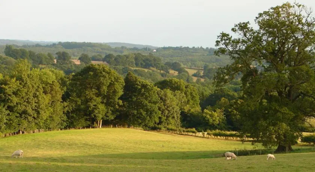 Southgate - Little Fowlers