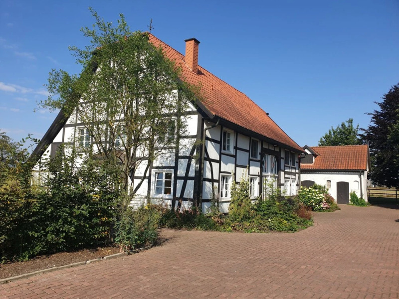 La Alqueria de las Alpacas - Alpakas am Ardey