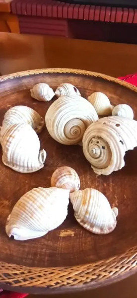 Beach House Into the Green!