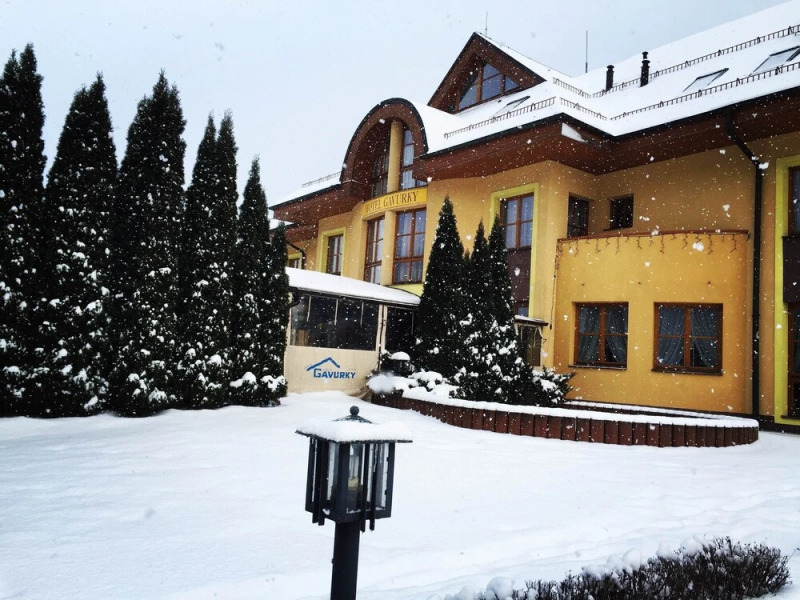 Hotel Gavurky