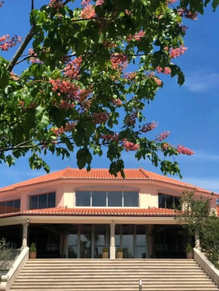 Olive Nature Hotel & SPA - Quinta Valle de Passos