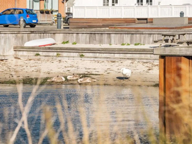 "Joar" - 5m to the inlet in SE Jutland