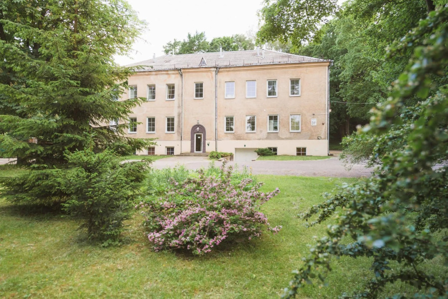 Downtown Forest Hostel & Camping