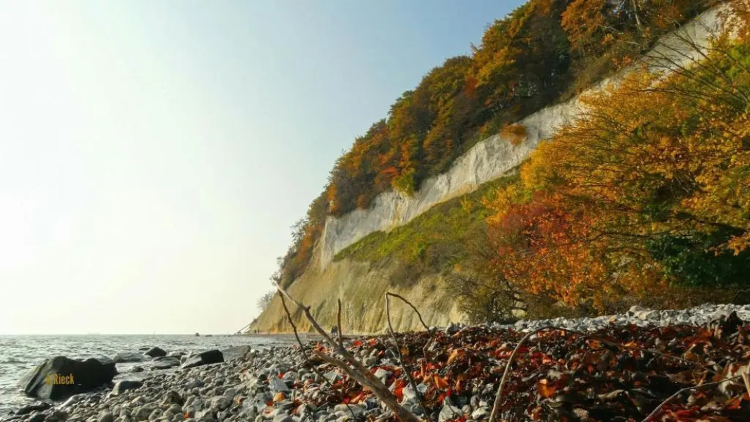 Boddenblick Lauterbach Rügen