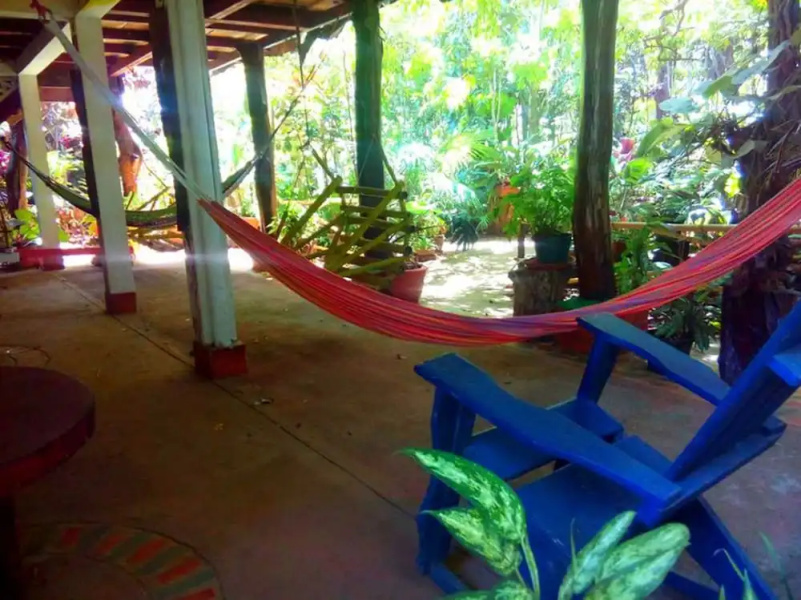 Eco posada Tortuga Verde