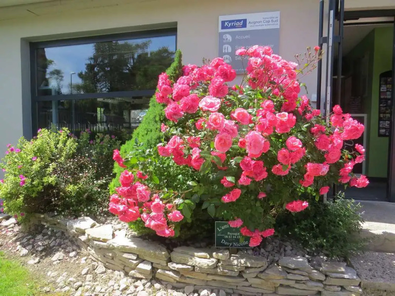 Kyriad Avignon Cap Sud